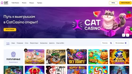 Бонусы и промокоды Cat Casino